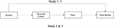 Buying to Cope With Scarcity During Public Emergencies: A Serial Mediation Model Based on Cognition-Affect Theory